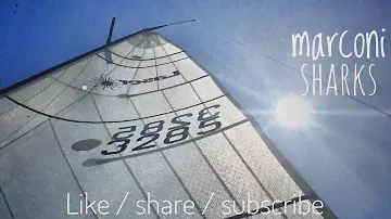 Sharks sb20 - raw 8 - sailing on the river blackwater 2018