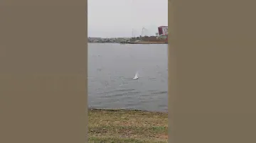 RC laser dinghy sailboat