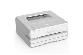 Принтер лазерный Deli Laser P2500DW A4 Duplex