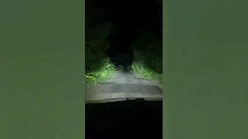 Aozoom biled laser gen 5 vesta
